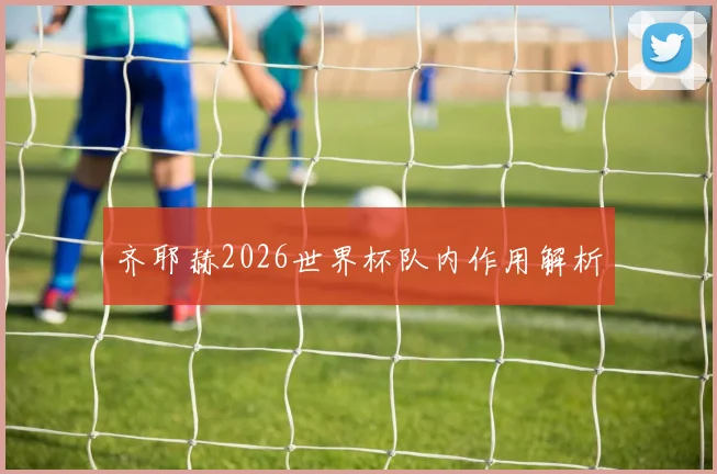 齐耶赫2026世界杯队内作用解析