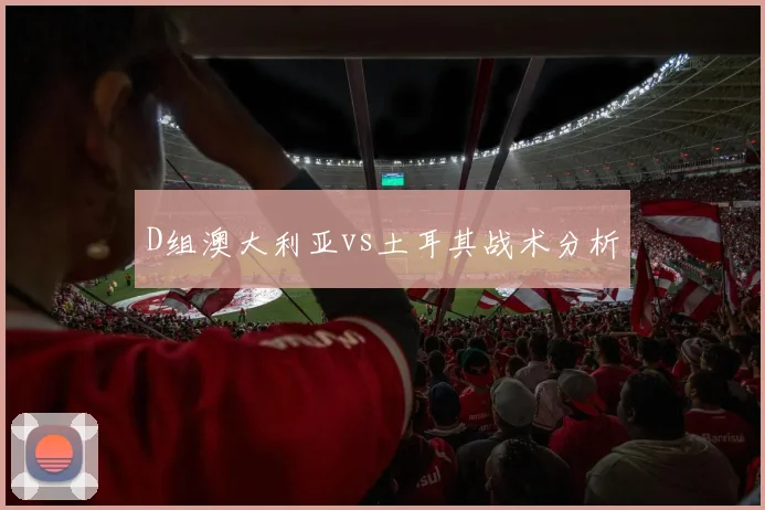 D组澳大利亚vs土耳其战术分析