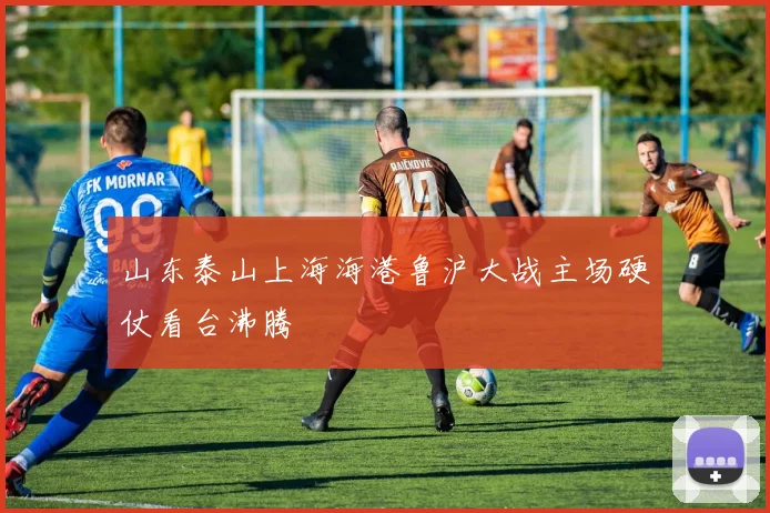 山东泰山上海海港鲁沪大战主场硬仗看台沸腾