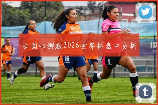 法国vs挪威2026世界杯盘口分析