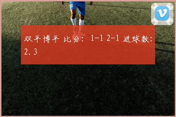 双平博平 比分：1-1 2-1 进球数：2.3