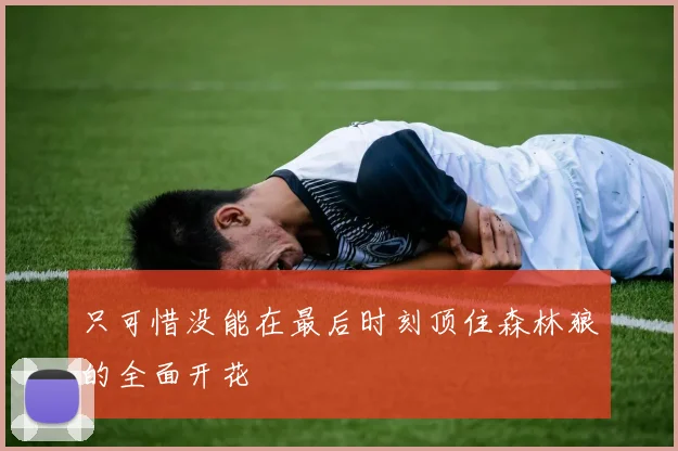只可惜没能在最后时刻顶住森林狼的全面开花