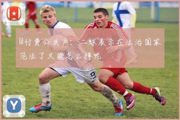 @付费公共户:二球表示在法治国家范法了又能怎么样呢