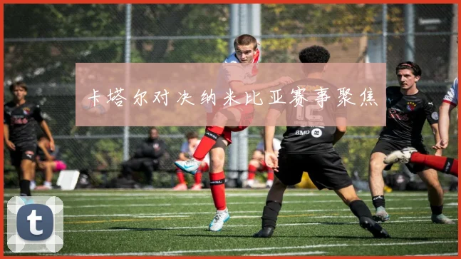 卡塔尔对决纳米比亚赛事聚焦