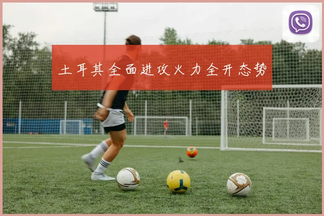 土耳其全面进攻火力全开态势