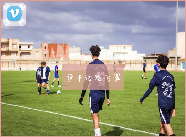 萨卡边路飞翼