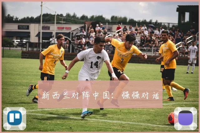 新西兰对阵中国：强强对话