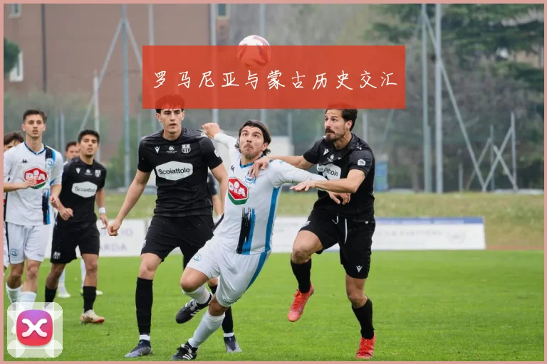 罗马尼亚与蒙古历史交汇