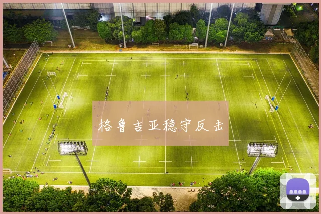 格鲁吉亚稳守反击