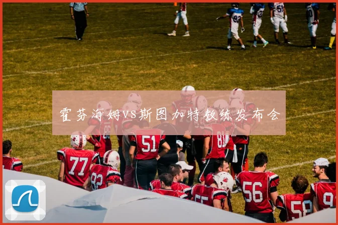 霍芬海姆vs斯图加特教练发布会
