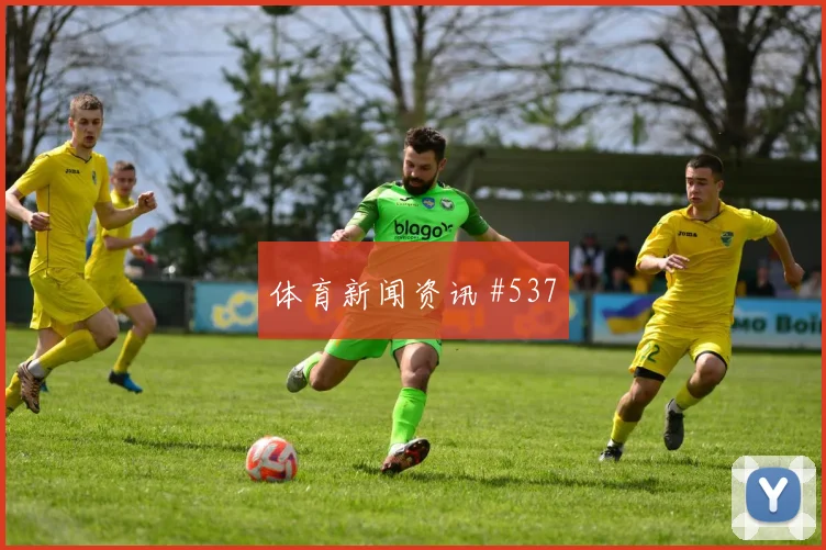 阿尔及利亚队2026世界杯核心球员状态