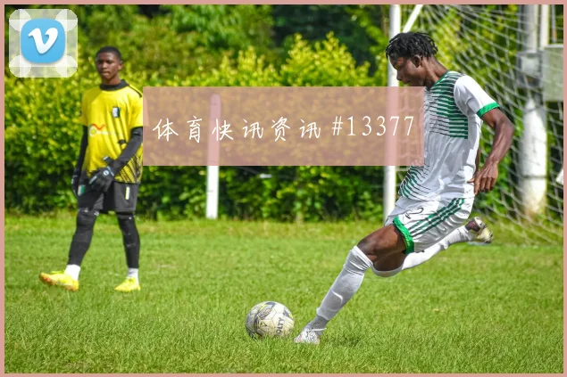 D组澳大利亚vs土耳其战术分析